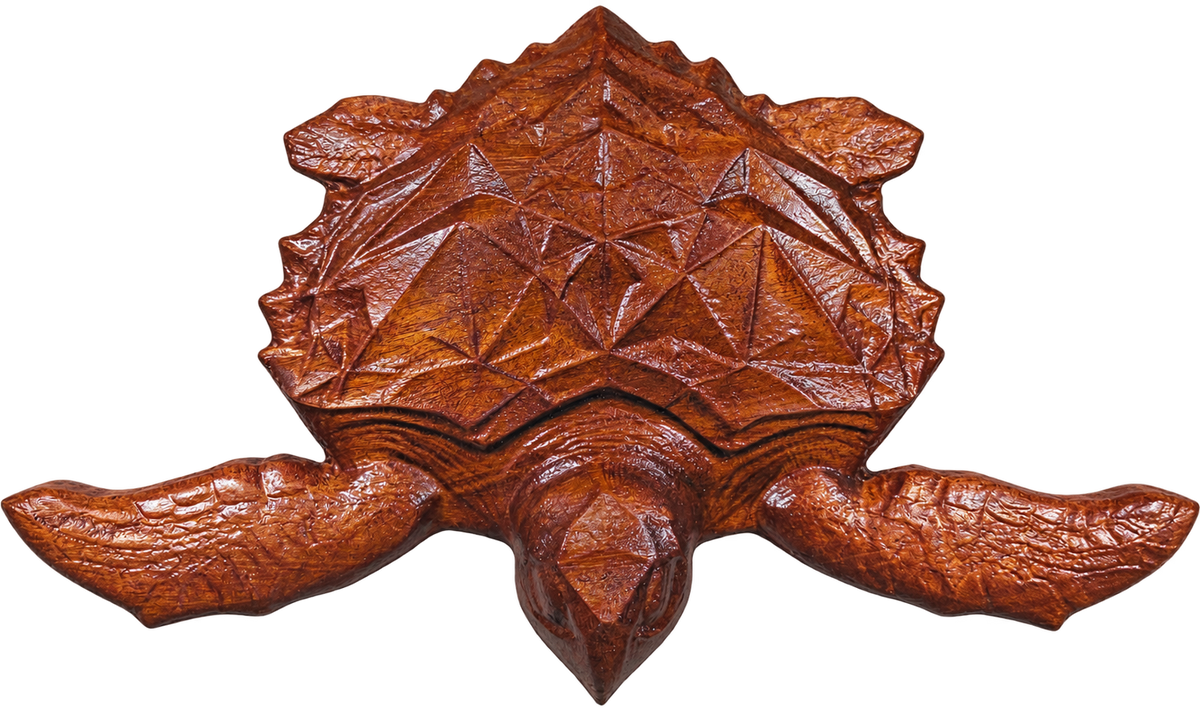 Terrapin