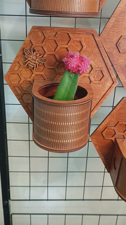 Wooden Modular Plant Display System